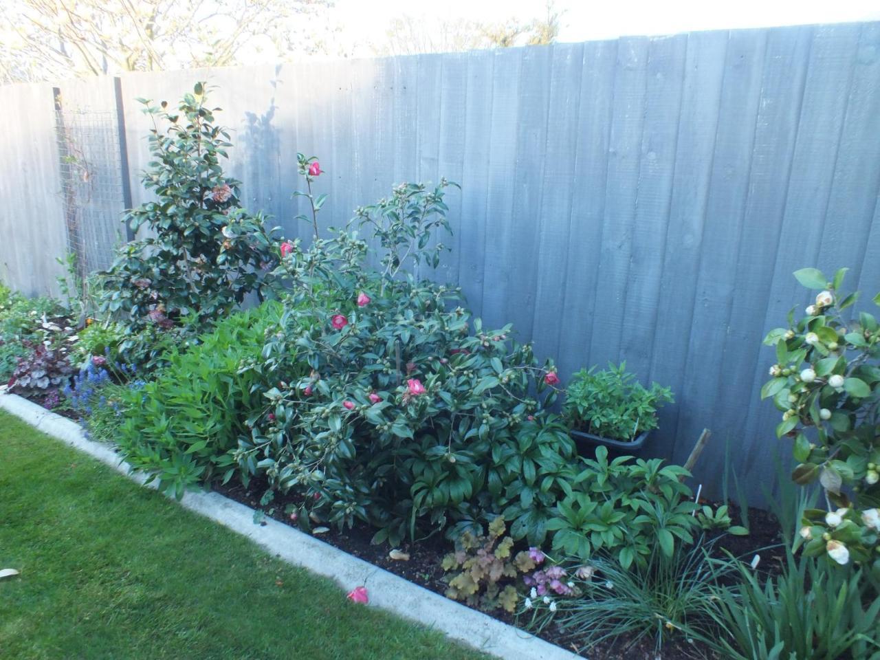 Perfect Home, Stunning Gardens - Aidanfield Gardens Bellissimo Christchurch Exteriér fotografie