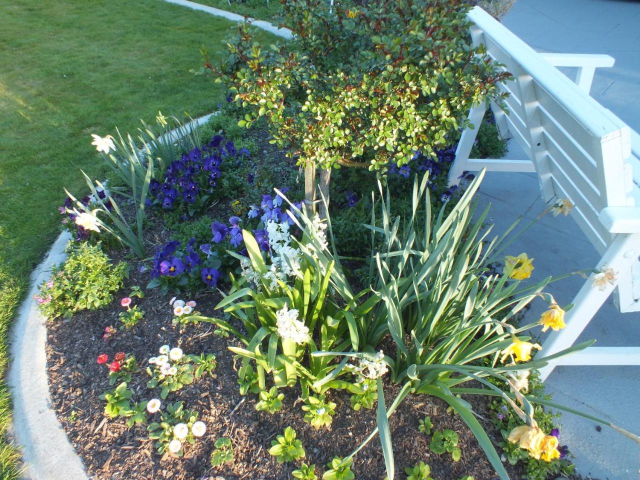 Perfect Home, Stunning Gardens - Aidanfield Gardens Bellissimo Christchurch Exteriér fotografie