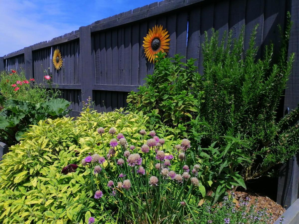 Perfect Home, Stunning Gardens - Aidanfield Gardens Bellissimo Christchurch Exteriér fotografie